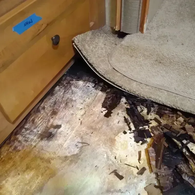 Wood Floor Water Damage in Midlothian, TX